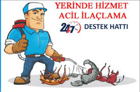 Dezenfeksiyon Dezenfekte İşlemi