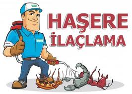 Karınca İlaçlama